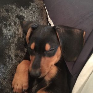 Meet your Posher, Jack